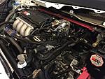 Samco Hose, Maxbore Throttle Body, Boomslang Harness-80-img_1078_8e86085b8da41ed47b39fb75d759161c269e72bd.jpg