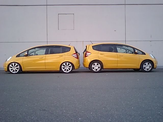 Name:  YellowFit3.jpg
Views: 50
Size:  34.7 KB