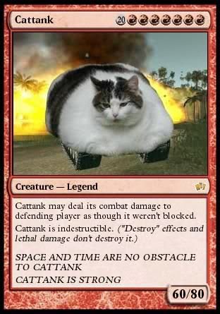 Name:  cat-magic-card.jpg
Views: 29
Size:  34.1 KB