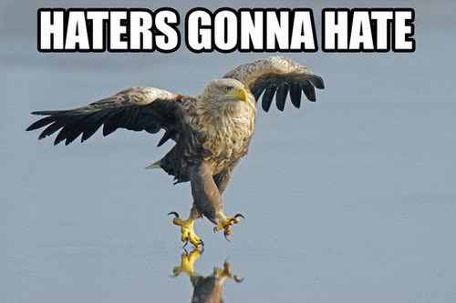 Name:  haters-gonna-hate-eagle.jpg
Views: 38
Size:  24.1 KB