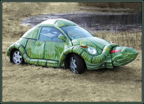 Name:  wild-car-bug.jpg
Views: 78
Size:  40.3 KB