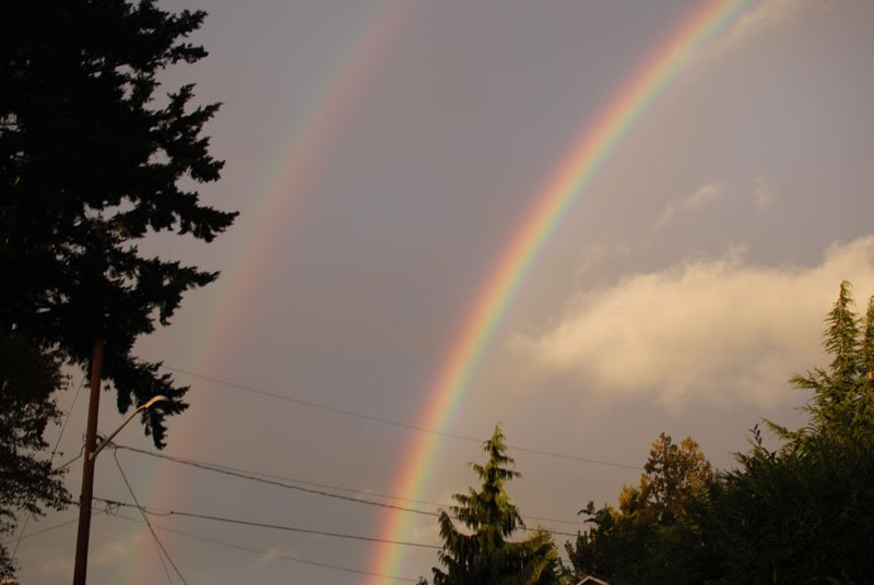 Name:  DoubleRainbow.jpg
Views: 35
Size:  42.6 KB