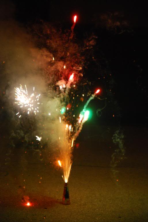 Name:  fireworks025.jpg
Views: 31
Size:  60.6 KB