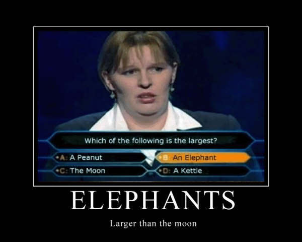 Name:  elephant.jpg
Views: 19
Size:  23.1 KB