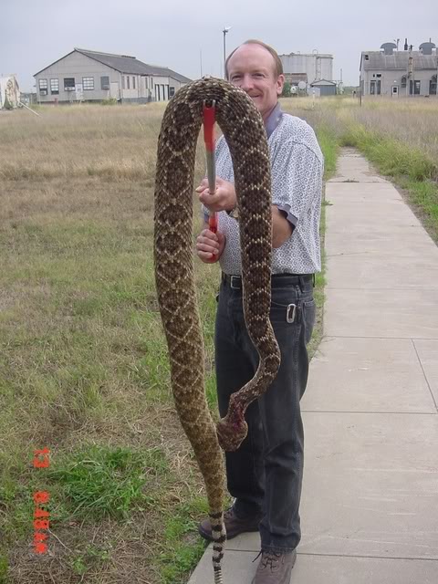 Name:  9rattler.jpg
Views: 170
Size:  75.4 KB