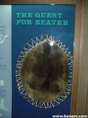 Name:  beaver.jpg
Views: 183
Size:  24.5 KB